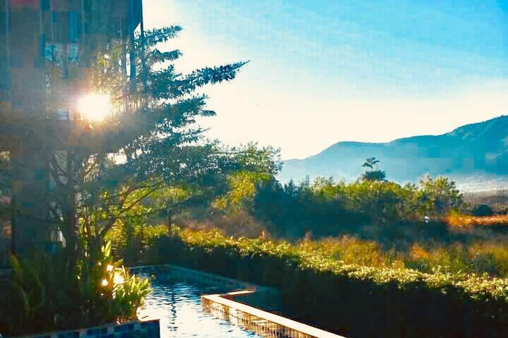 المظهر الخارجي