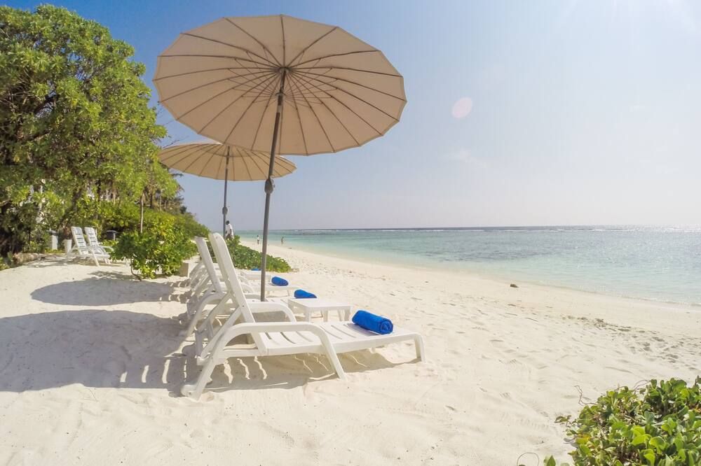 شاطئ صورة