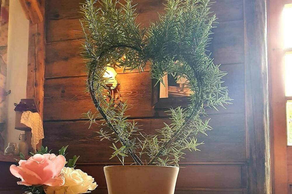 المظهر الخارجي