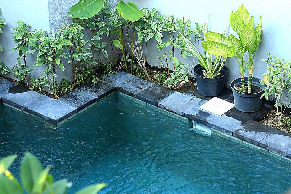 حوض السباحة