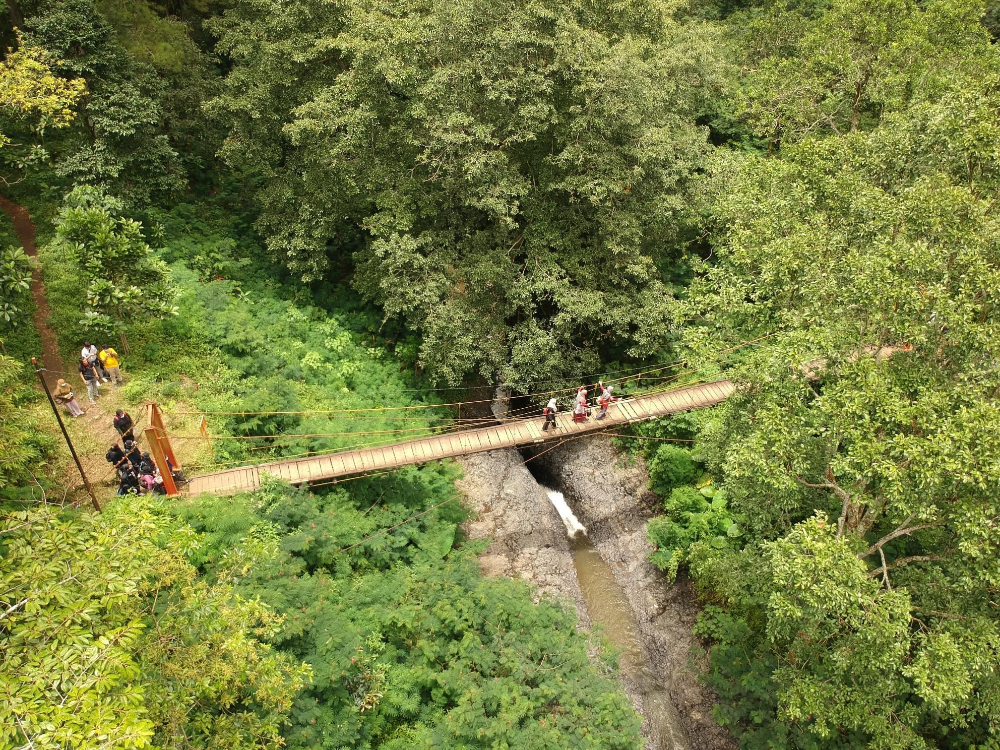 المظهر الخارجي