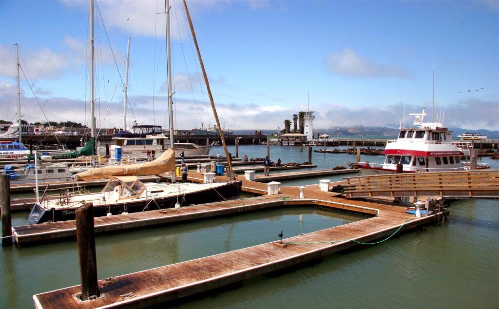 المظهر الخارجي