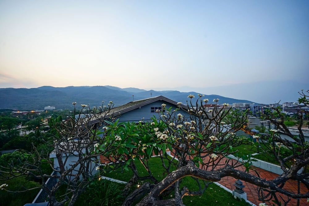 المظهر الخارجي