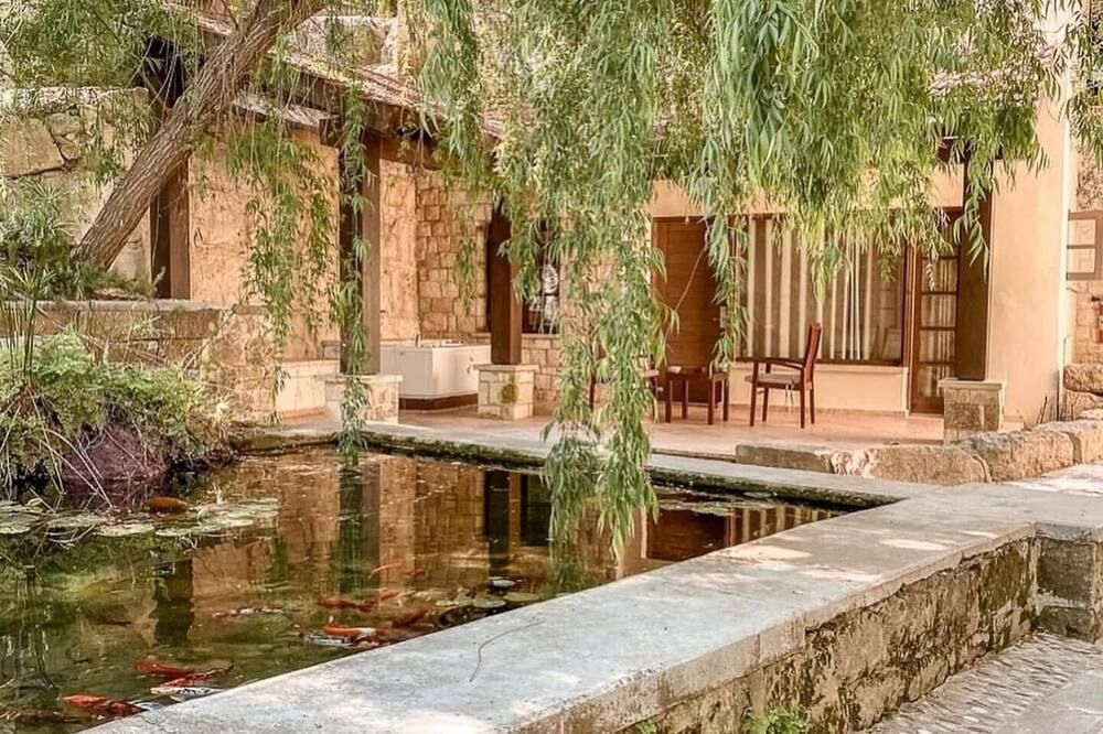 المظهر الخارجي