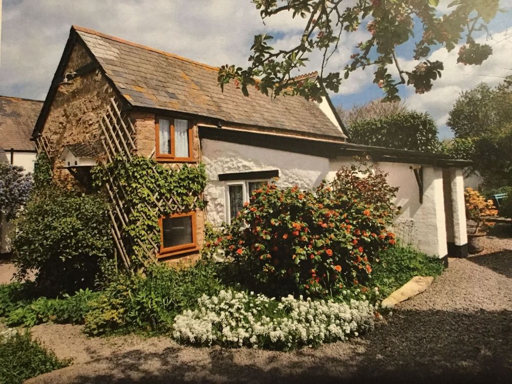 المظهر الخارجي