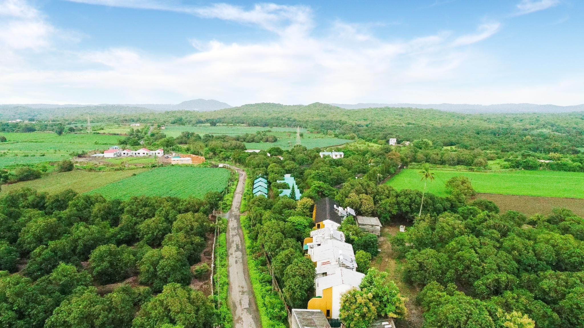 المظهر الخارجي