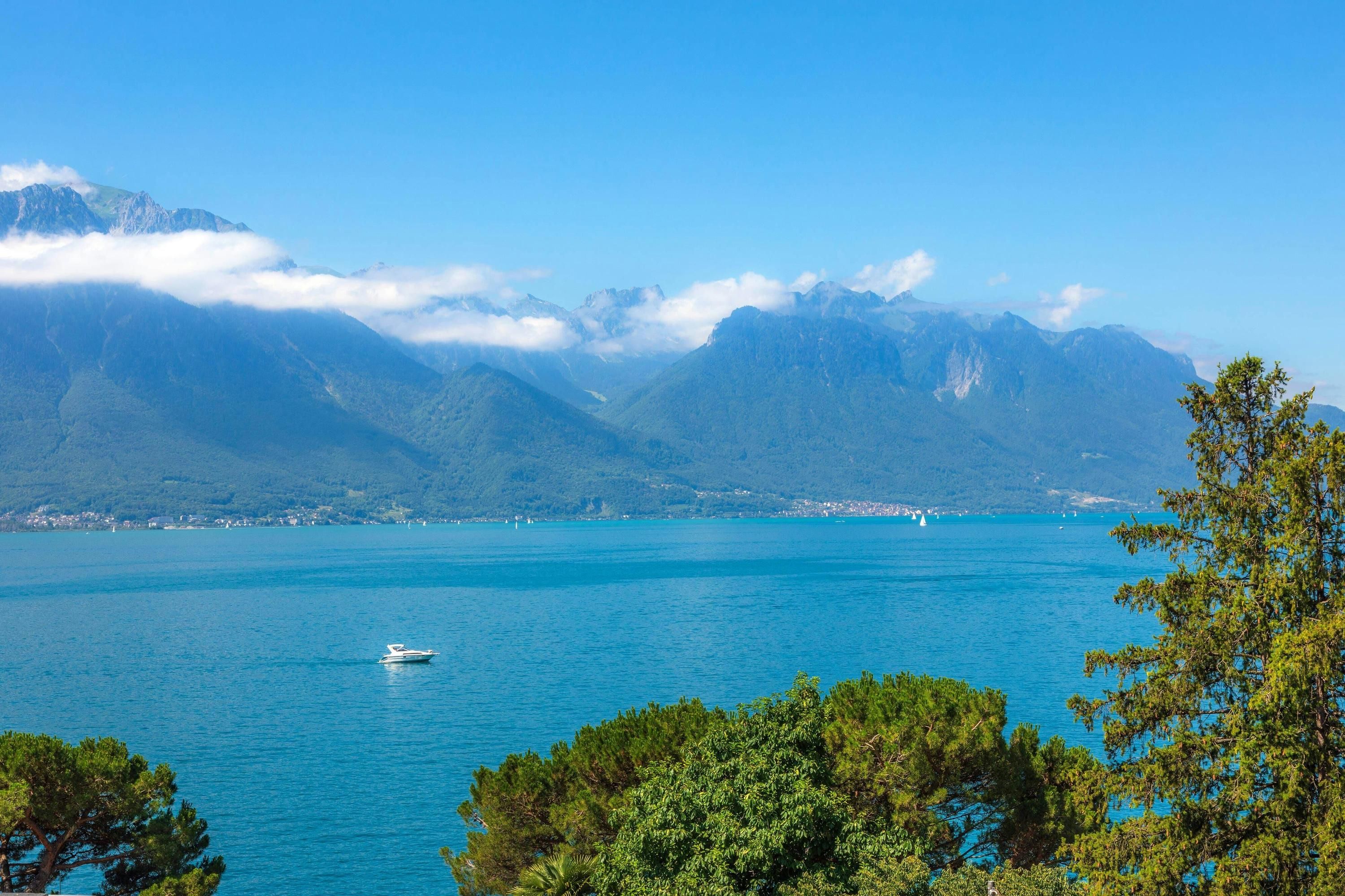 المظهر الخارجي