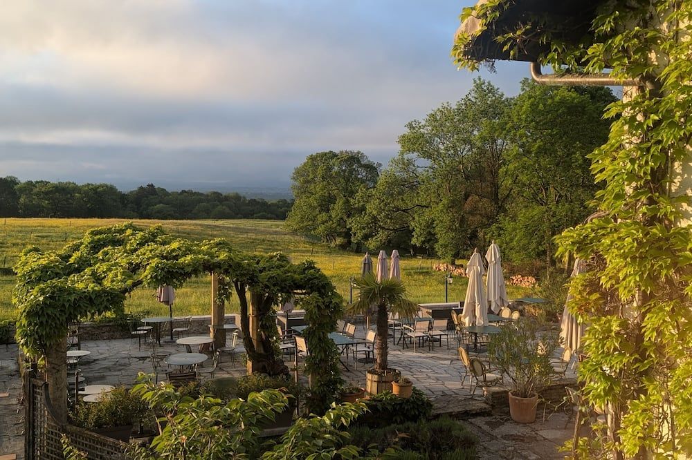 المظهر الخارجي