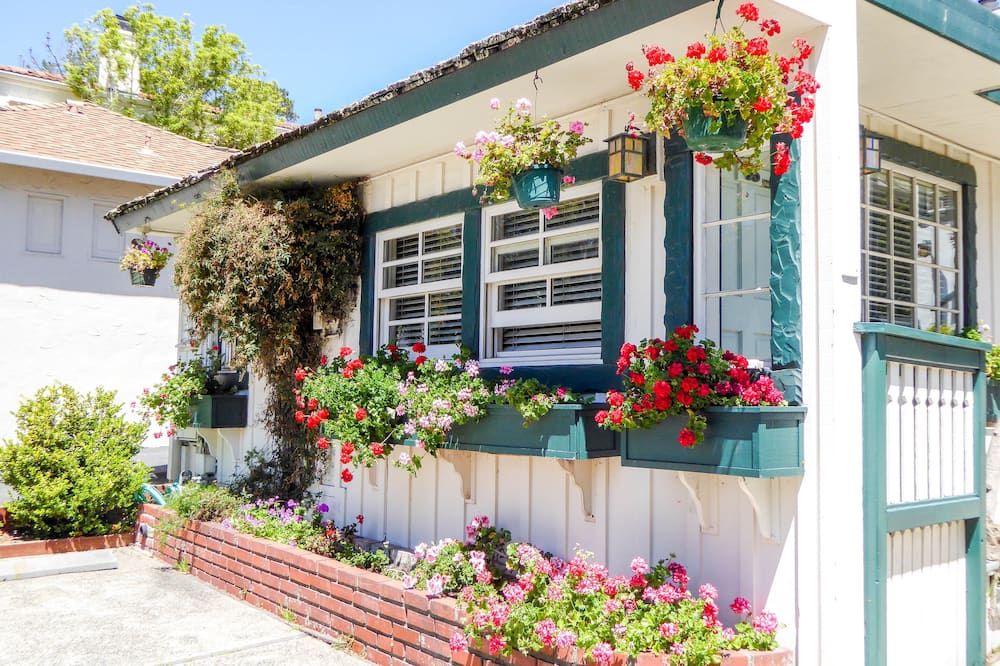 المظهر الخارجي