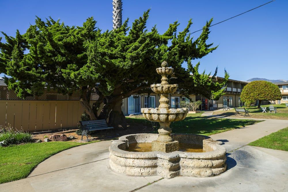 المظهر الخارجي