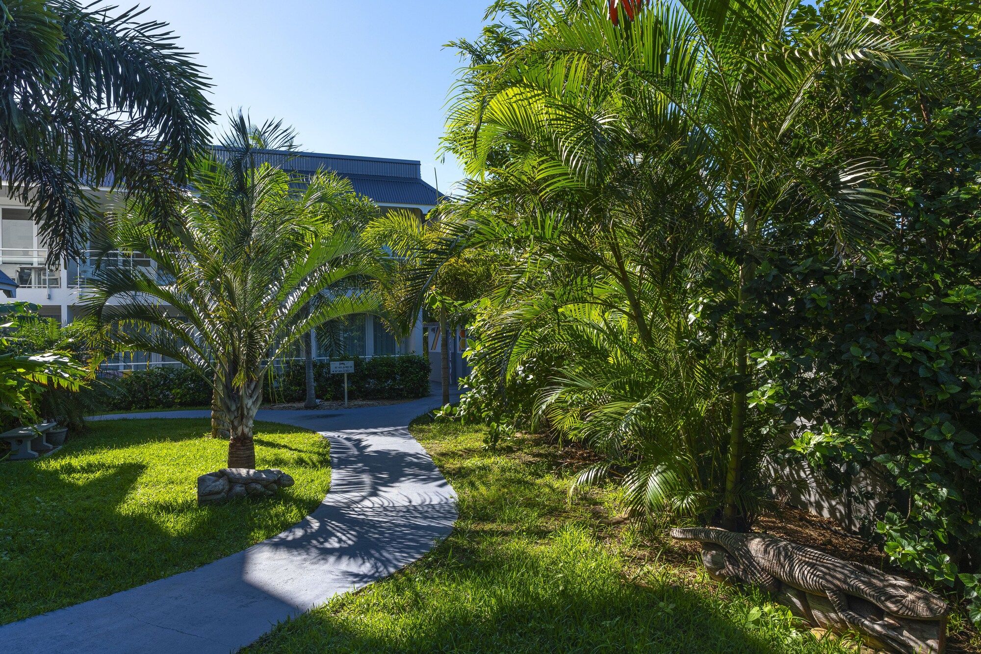 المظهر الخارجي