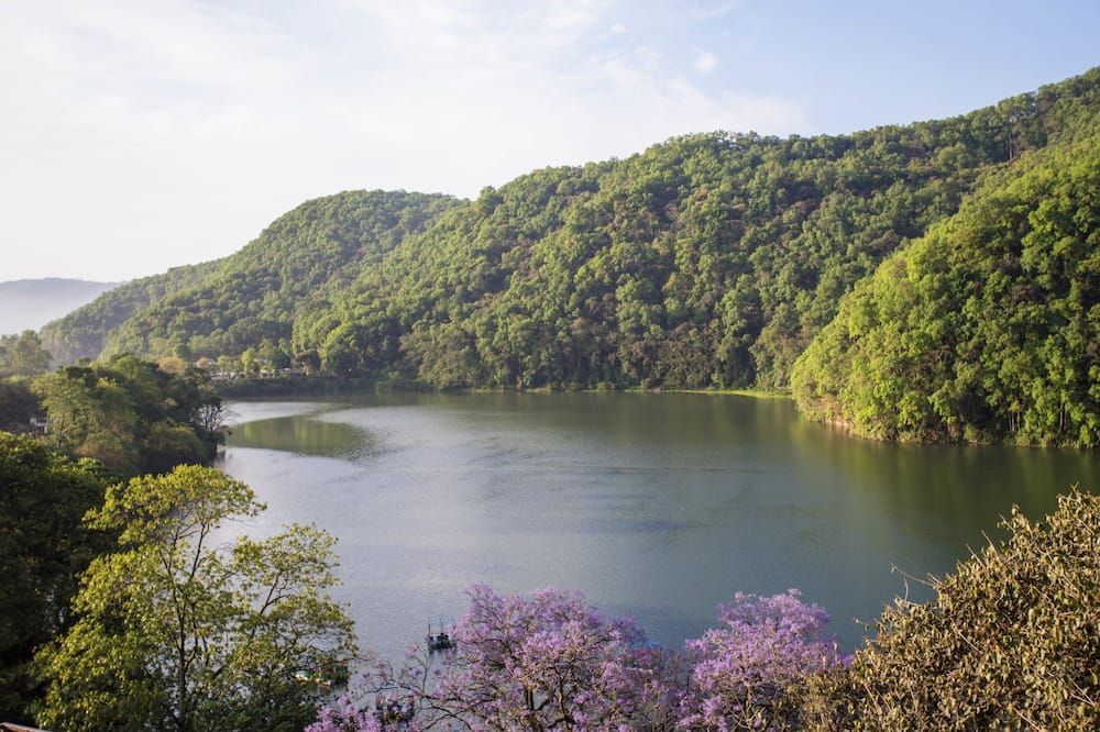 المظهر الخارجي