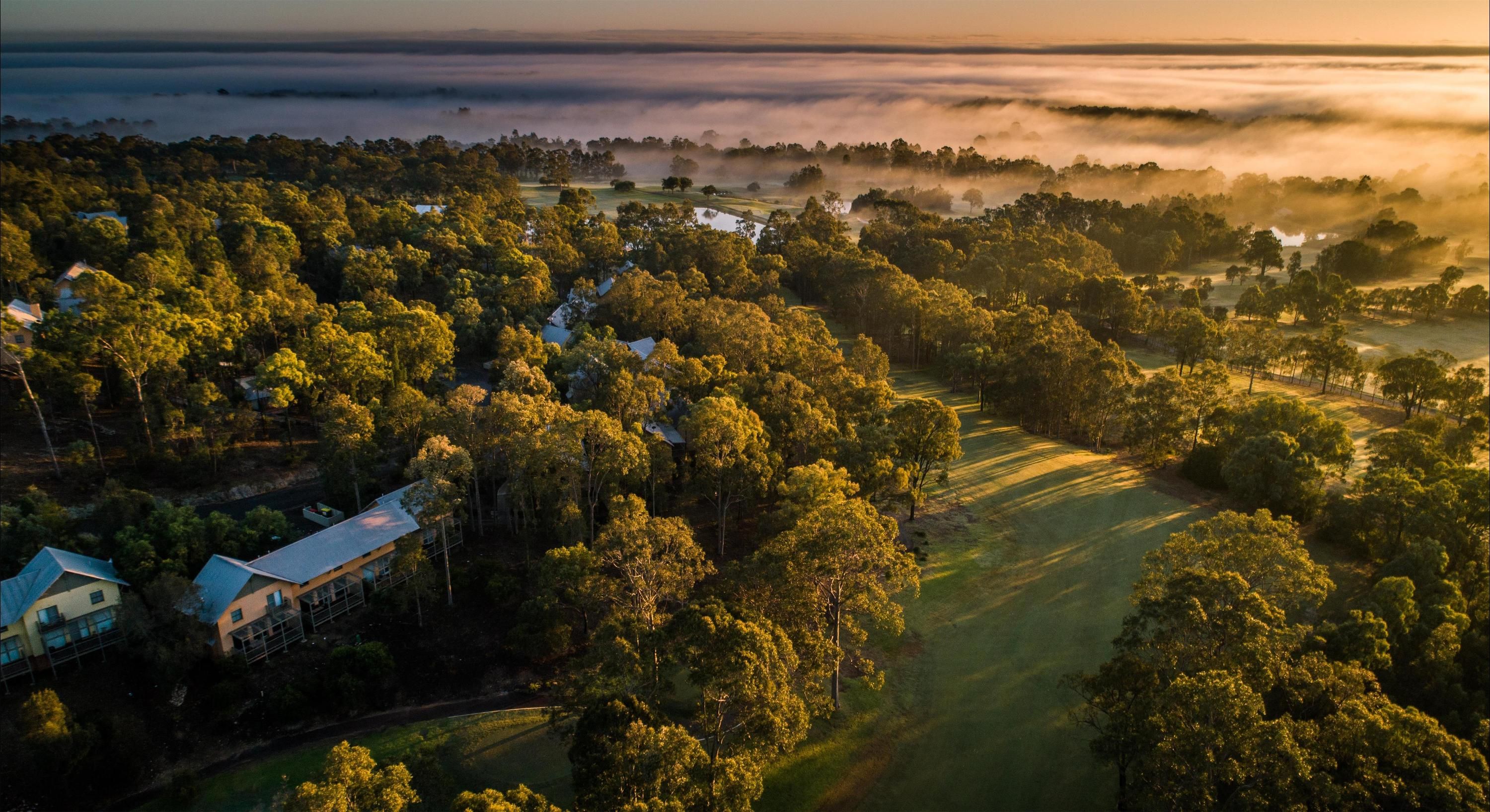 المظهر الخارجي