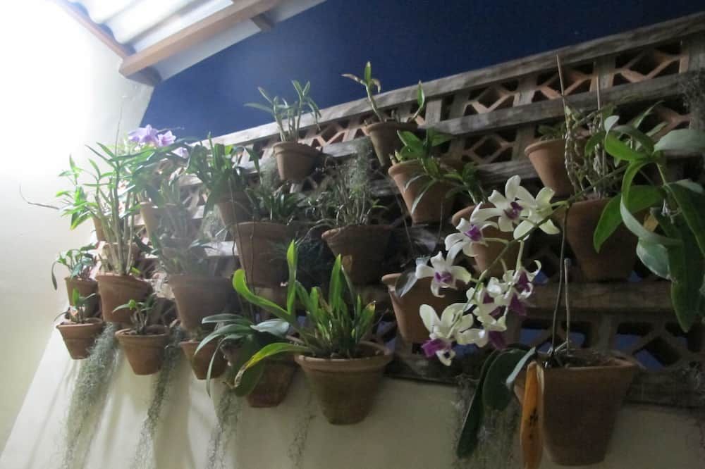 المظهر الخارجي