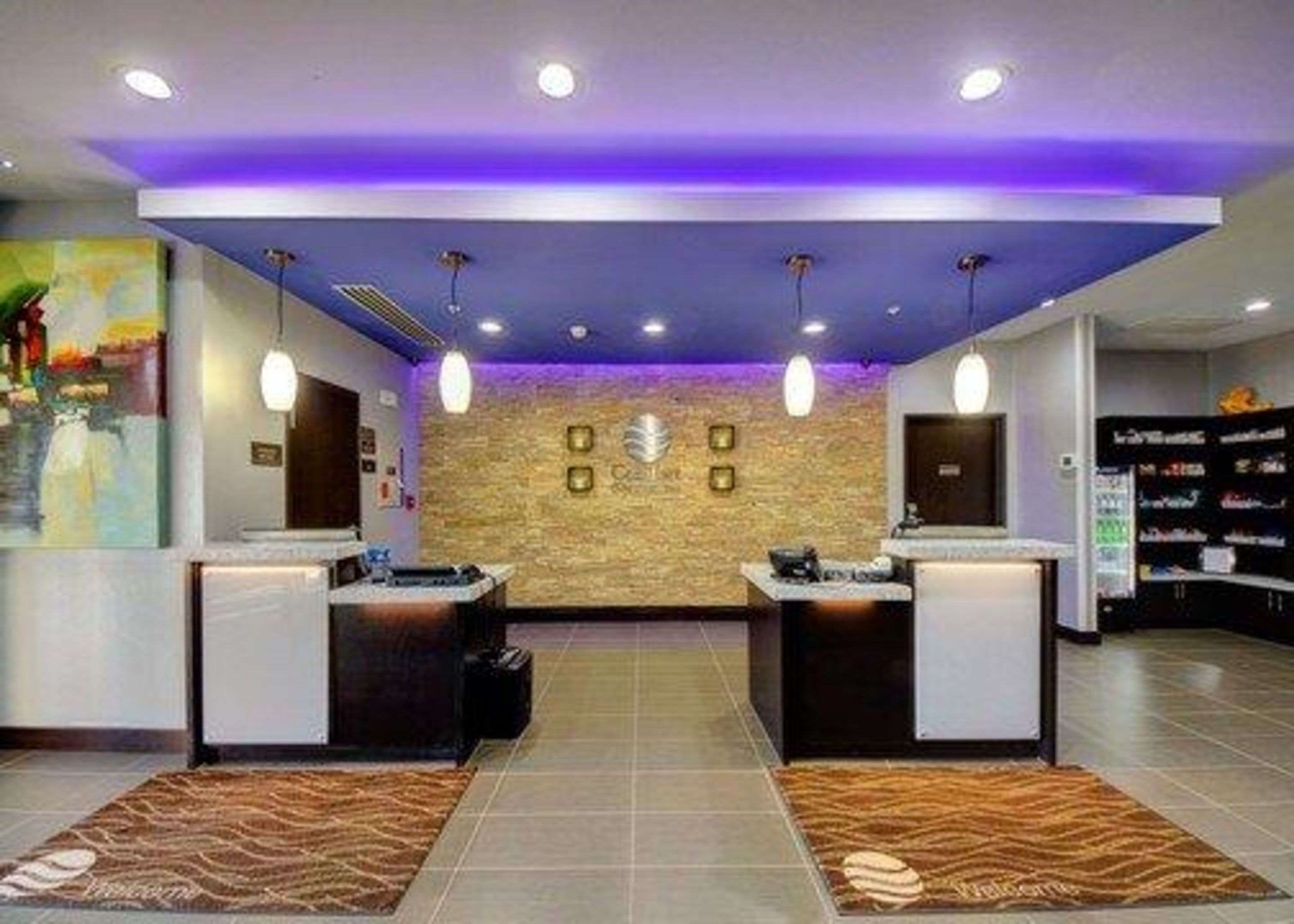 أفضل طعام صورة