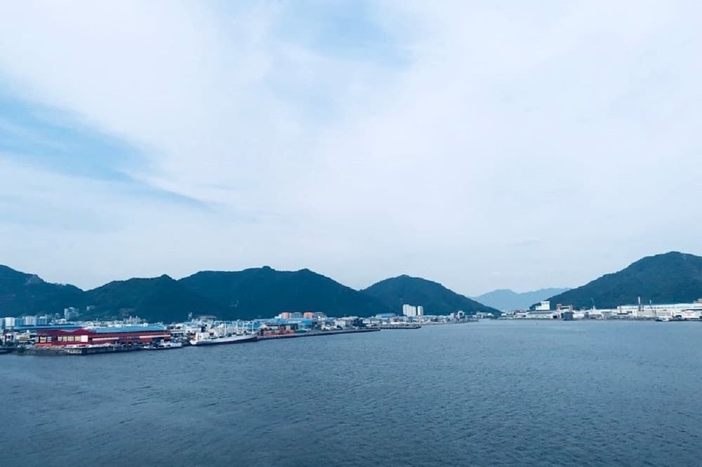 المظهر الخارجي