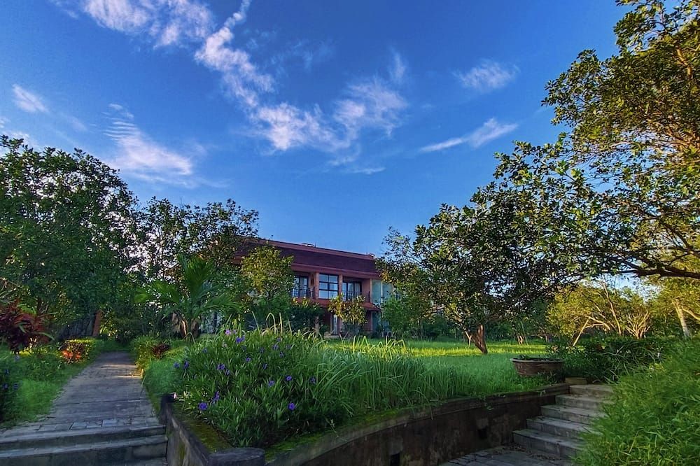 المظهر الخارجي