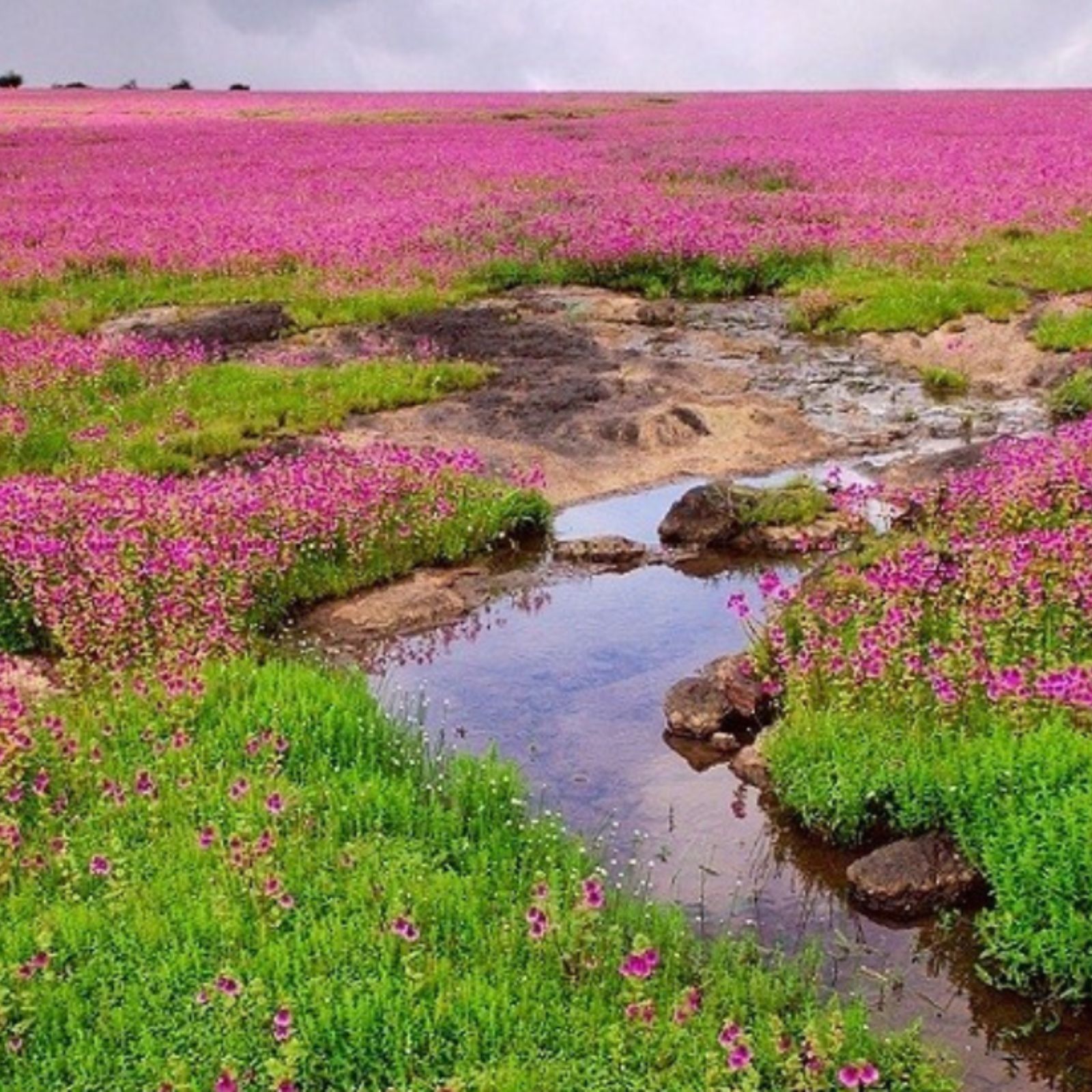المظهر الخارجي