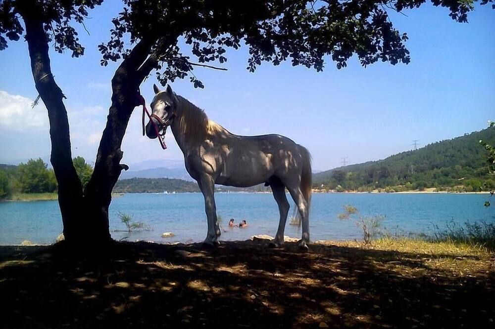 آخر
