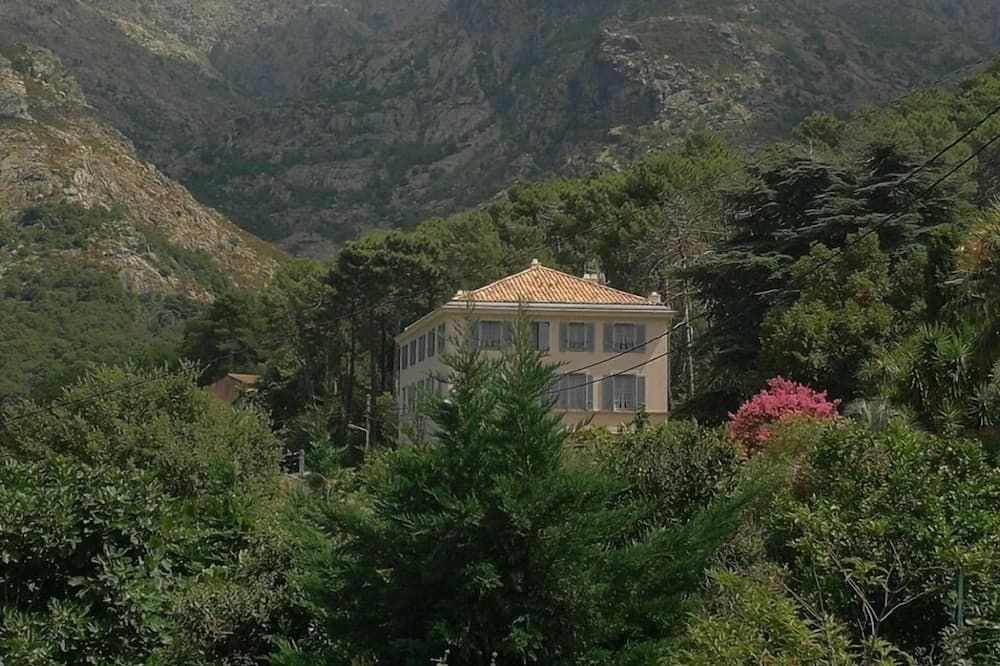 المظهر الخارجي