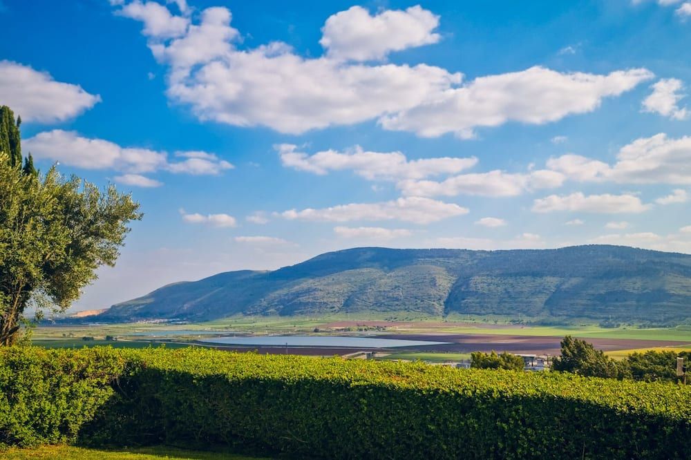 المظهر الخارجي