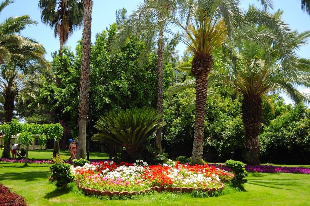 المظهر الخارجي