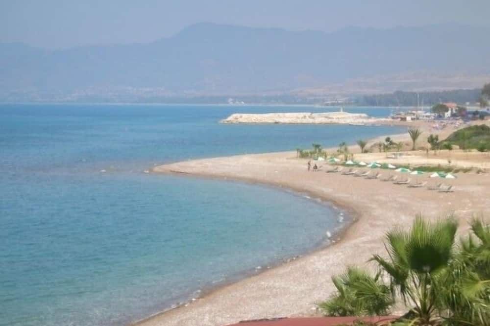 شاطئ