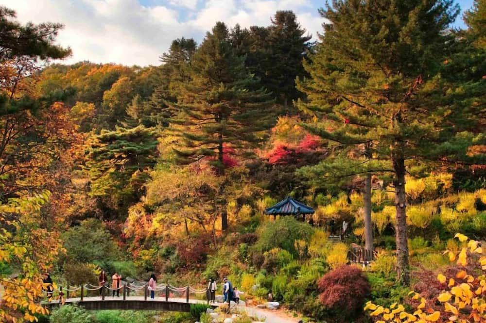 المظهر الخارجي