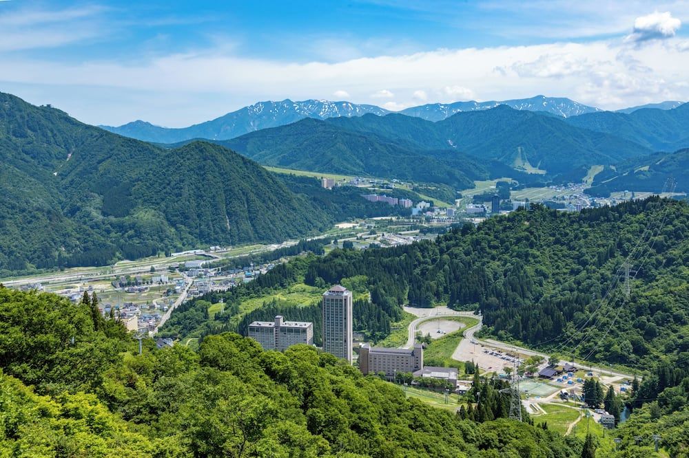 المظهر الخارجي