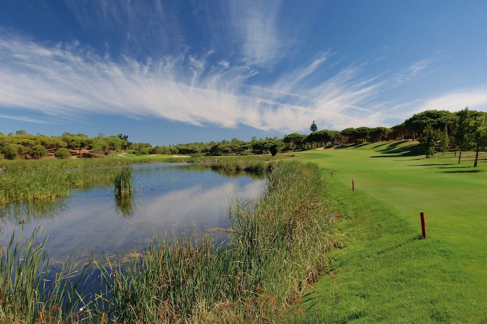 المظهر الخارجي