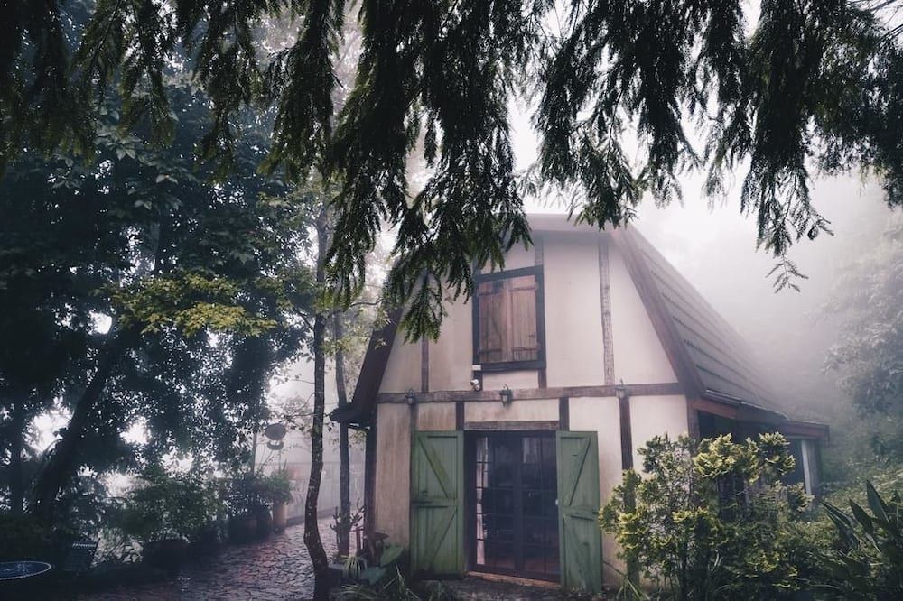 المظهر الخارجي