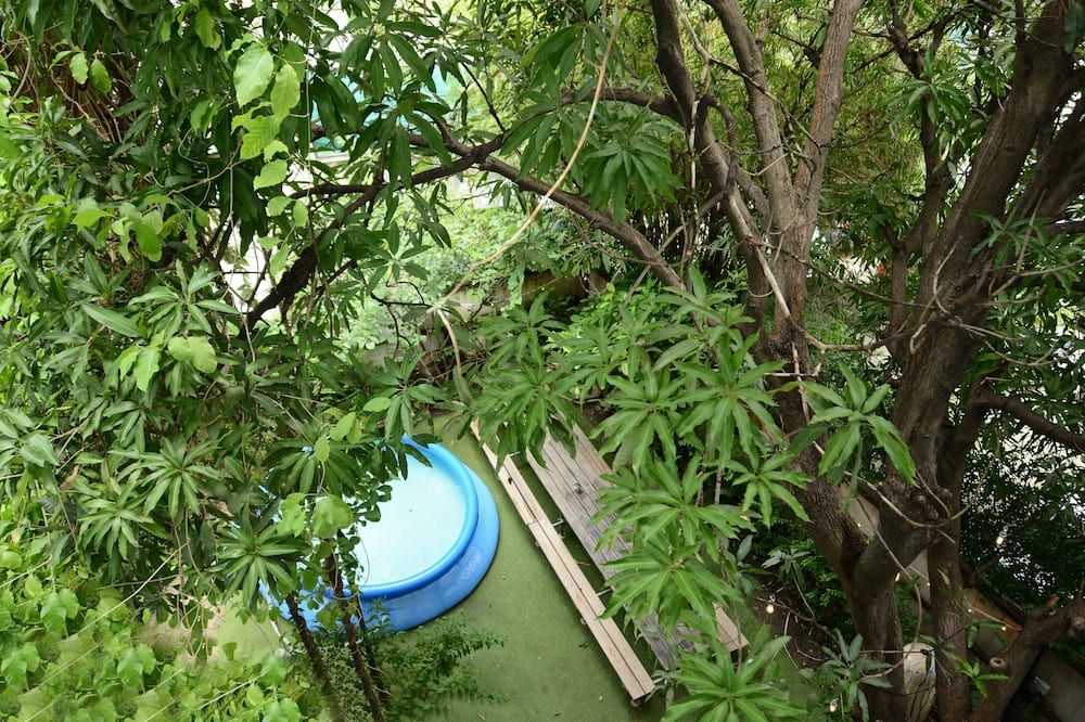 المظهر الخارجي