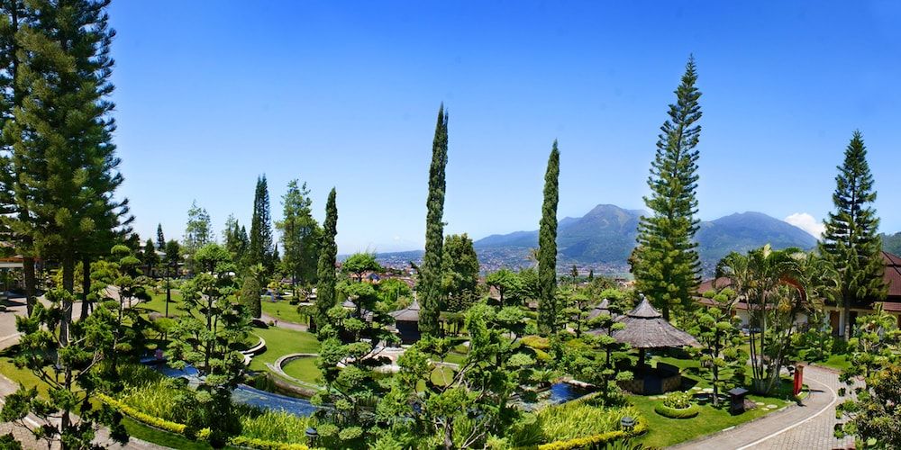 المظهر الخارجي