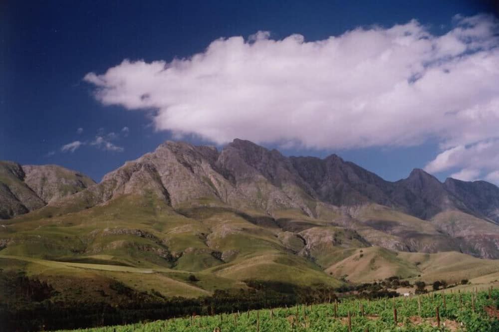 المظهر الخارجي