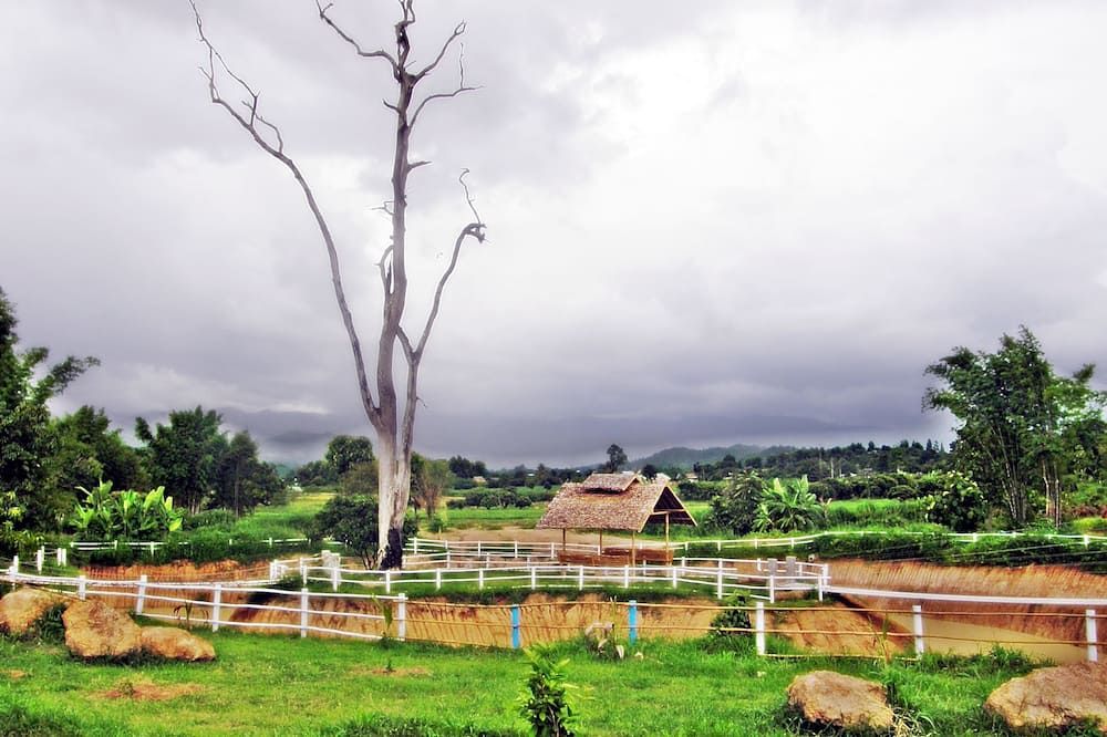 المظهر الخارجي