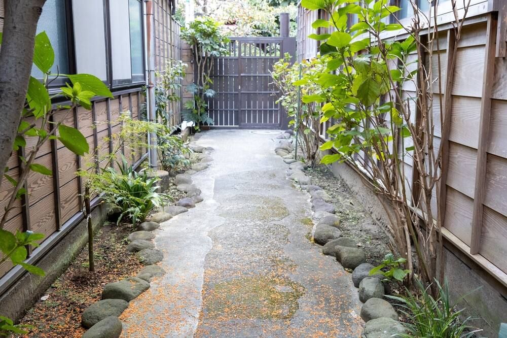 المظهر الخارجي