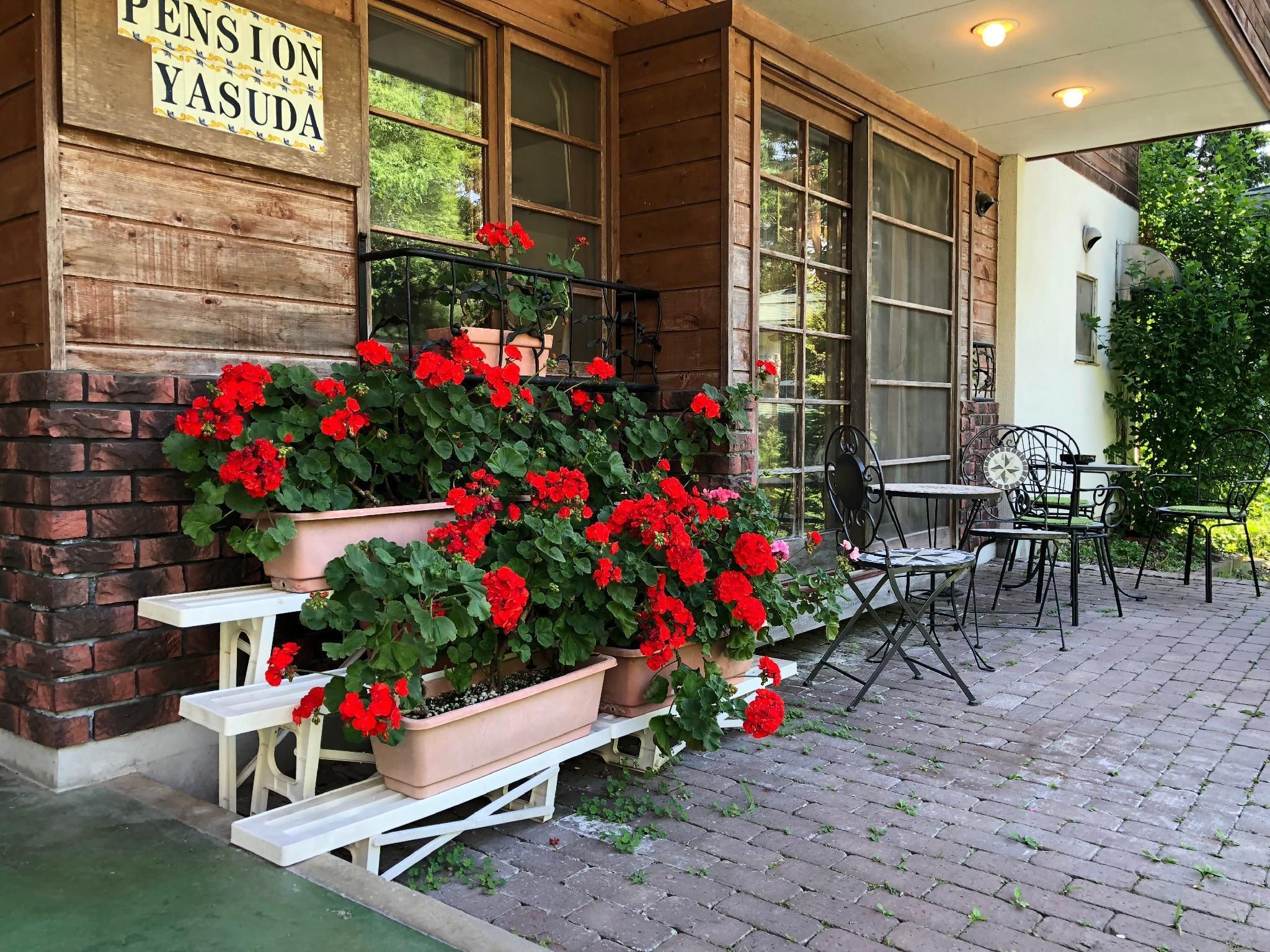 المظهر الخارجي