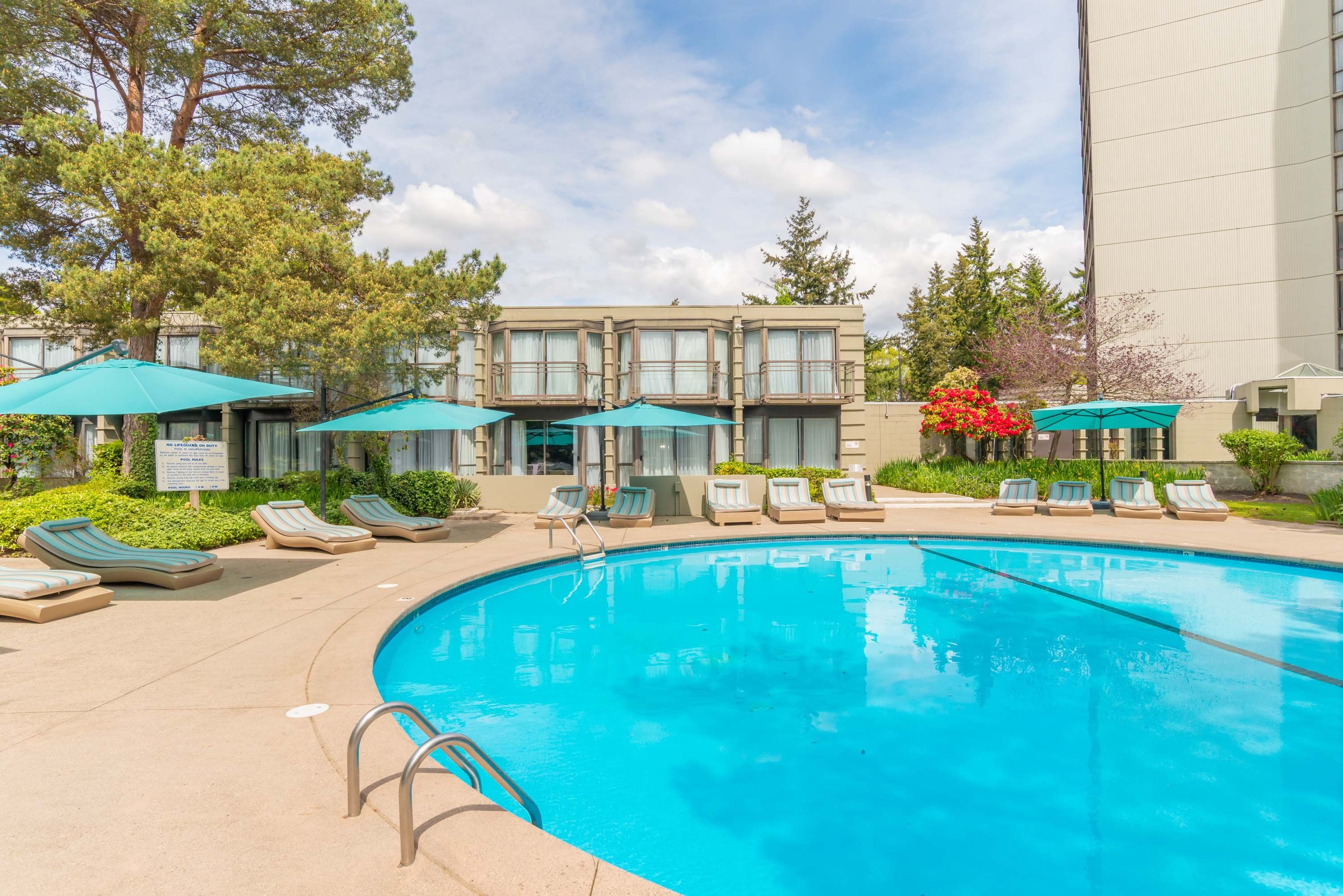 حوض السباحة