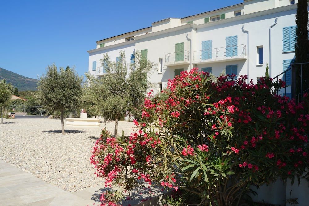 المظهر الخارجي