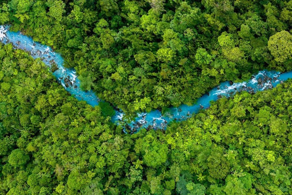 المظهر الخارجي