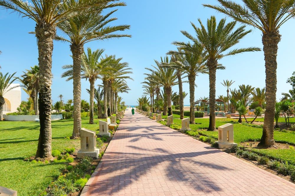 المظهر الخارجي