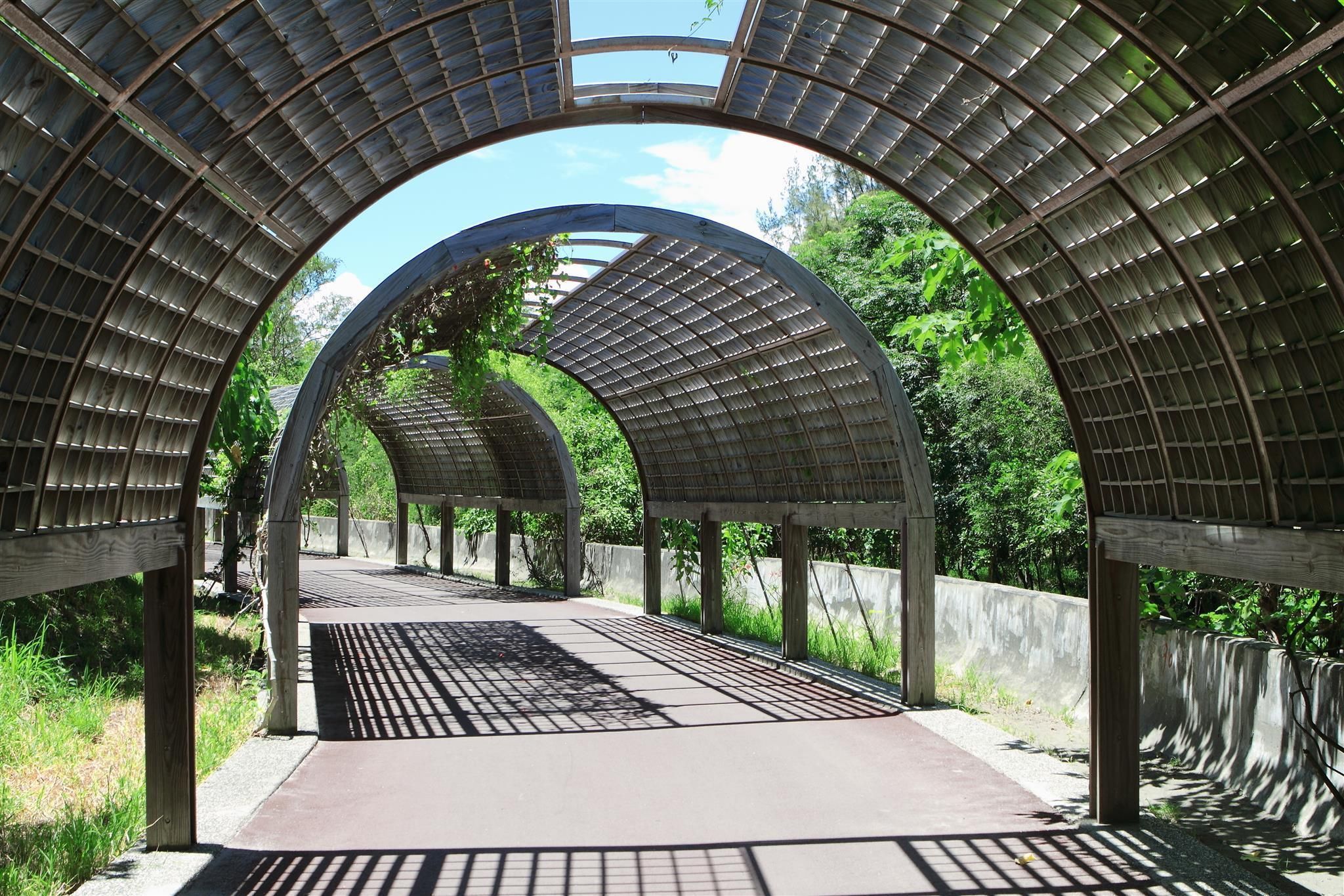 المظهر الخارجي