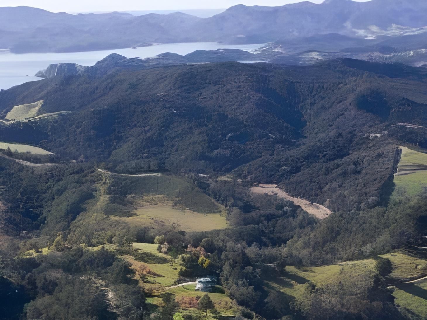 المظهر الخارجي