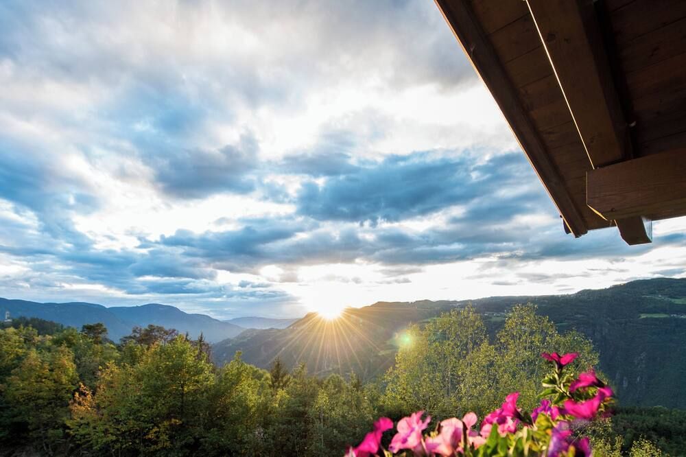 المظهر الخارجي