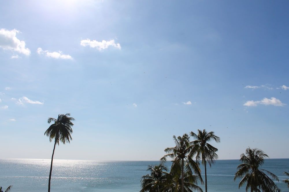 المظهر الخارجي