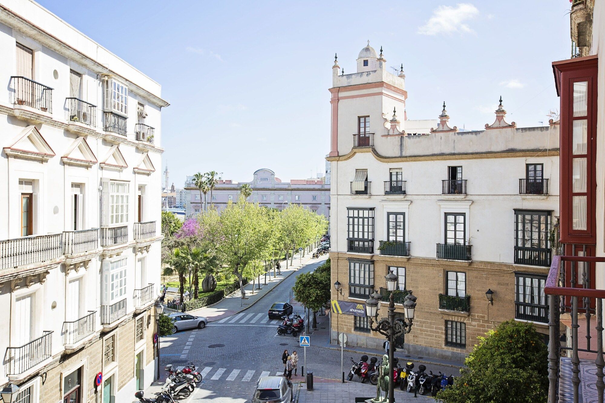 المظهر الخارجي