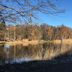 المظهر الخارجي