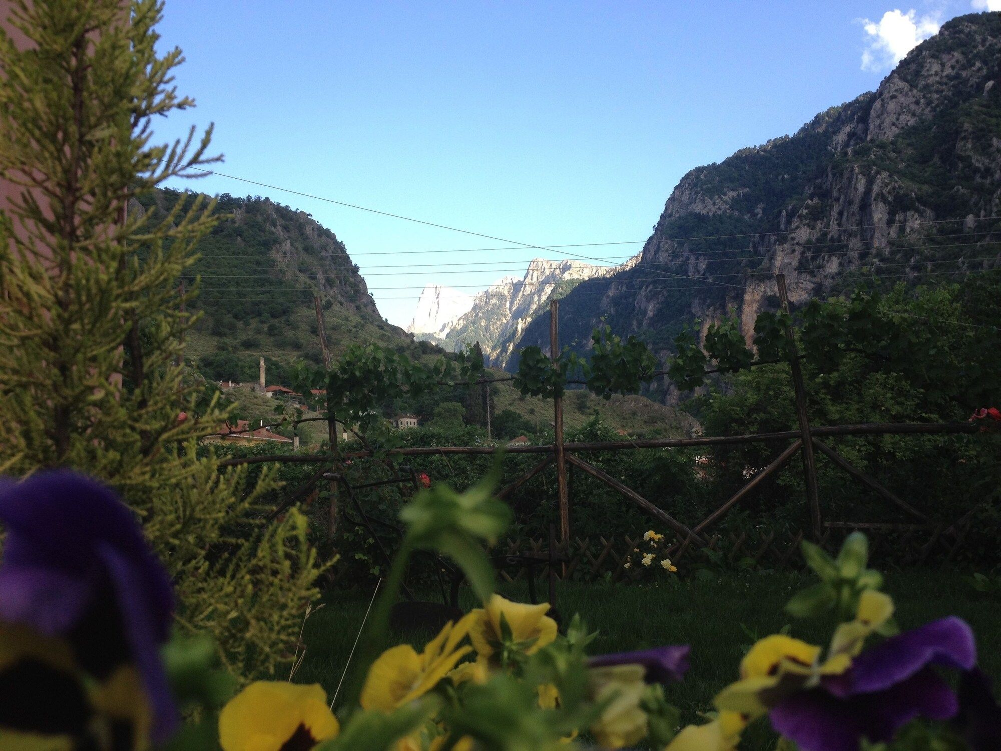 المظهر الخارجي