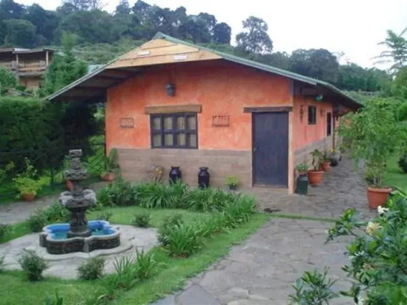 المظهر الخارجي