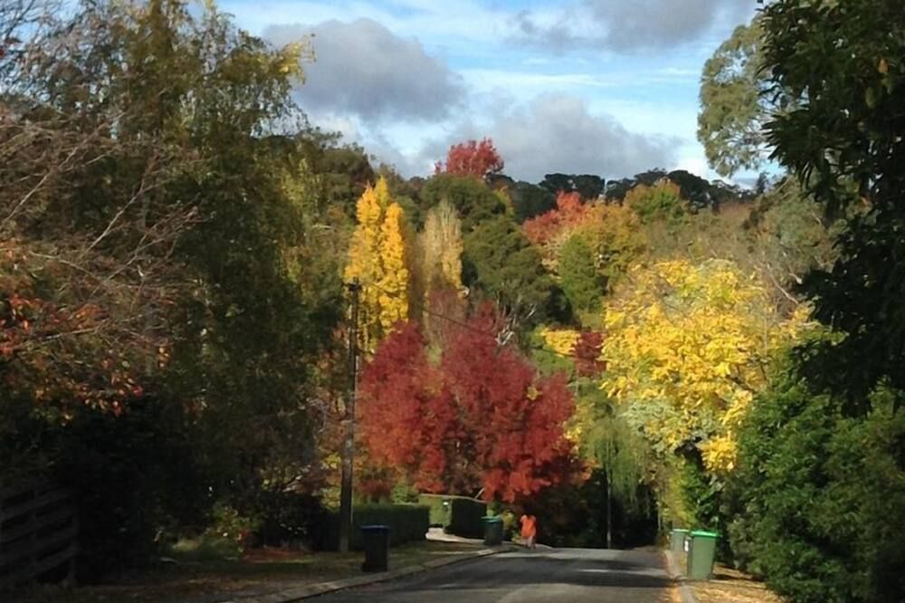 المظهر الخارجي
